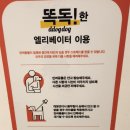 스타애견 이미지