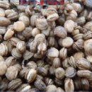 재섭농장 이미지