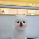 브리앙뜨몽 이미지