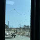 가조오리숯불구이 | 고성 델피노 속초 오리고기 맛집 가조오리숯불구이 엄나무 오리백숙