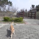 물결공원 화장실 이미지