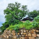 제일강산 이미지