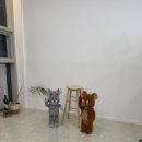 레브헤어 이미지