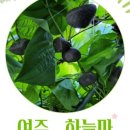 참살이건강원 - 영광군 중앙로 149-3 | 참살이건강원