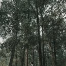 힐링코스 이미지