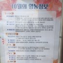 솔영농