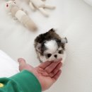 디자인독 이미지