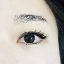 아미속눈썹