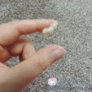 리즌헤어 이미지
