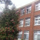 이리여자고등학교 이미지