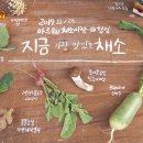 (주)뉴마포식품