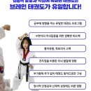 태권도연구방법 네이버블로그