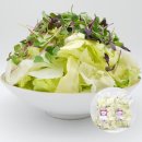 샐러드와