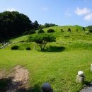 이진무묘 이미지