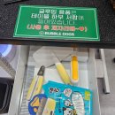 버블독스원주