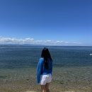 나그네쉼터어시장수산식당 | 낭만한도 초과 포항여행 :: 해안도로(주소), 죽도시장, 환여횟집포장, 창바우마을캠핑장