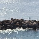 유일낚시마트 이미지