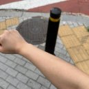 태닝나우강서 네이버블로그