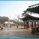 예산읍006 Daum카페