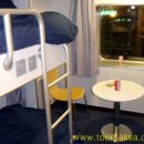 카멜리아 이미지