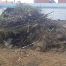 직산농장 이미지