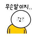 카페주황 이미지