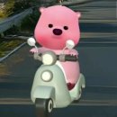 메트로호텔 이미지