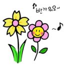 혀나헤어