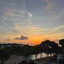 장보고싶은마트목련점 | 신혼여행 4일차｜마요르카 마트 장보기 및 숙소 도착 후기