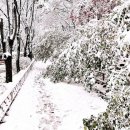 행복하댕 이미지