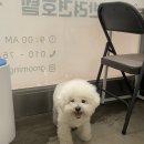 그루밍솔루션 구로점 네이버블로그