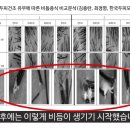 드라이닥터 이미지