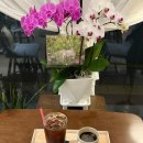 다솔빌 | 좋은시간은 셀프입니다<익산 오버차지>