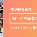 마치st118 이미지
