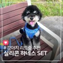 멍냥힐 | 새끼강아지 하네스 추천 실리콘 리드줄 목줄 입문세트