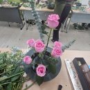 동양꽃꽂이 | 전남 목포 동양꽃꽂이직립형 클래스 후기🌸 (유칼리툽스&amp;파엘라장미)