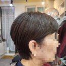 도봉-쌍문-도봉-1129 이미지