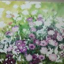 수채화 그림 그리기 정물풍경 이형미 데모루꽃(20호) 이미지