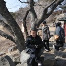 밀양동명중고등학교 이미지