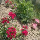 외갓집식당 이미지