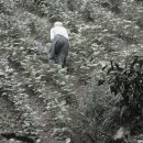 산마루 이미지