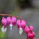 비, 바람, 안개와 동행하다 – 사명산 문바위봉 이미지