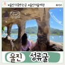 울진 성류굴 관람 팁 입장료, 주차 정보와 함께 겨울 여행