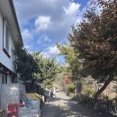 가을의 온새미로 이미지