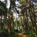 또오래펜션 이미지