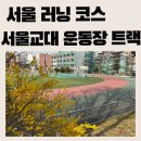 광장노인체육교실 | [서울 러닝 코스] 강남러닝트랙-서울교대 트랙 400mㅣ주차, 개방시간, 레인 정보 총정리