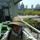일본 사민당 본부 옥상에서 양봉 25군 사육- 4년째 이미지