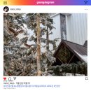 감성 | 더현대 서울 핫플 ㅣ 노엘팝업 겨울 감성 끝판왕 방문후기