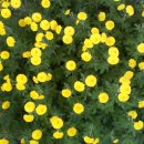 옥수동성당 이미지