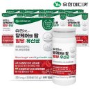 유한 이미지